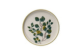 MCH009904 Multicolor 100% CERAMIC 19 cm breed